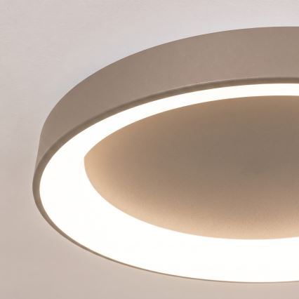 BRILAGI - LED димований стельовий світильник FALCON II LED/99W/230V 3000-6500K діам. 60 см бежевий + пульт дистанційного керування