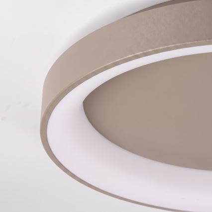 BRILAGI - LED димований стельовий світильник FALCON II LED/99W/230V 3000-6500K діам. 60 см бежевий + пульт дистанційного керування