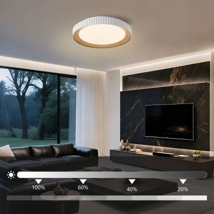 Brilagi - LED затемнюваний стельовий світильник NEXO LED/48W/230V 3000-6000K білий, діаметр 43 см + пульт дистанційного керування