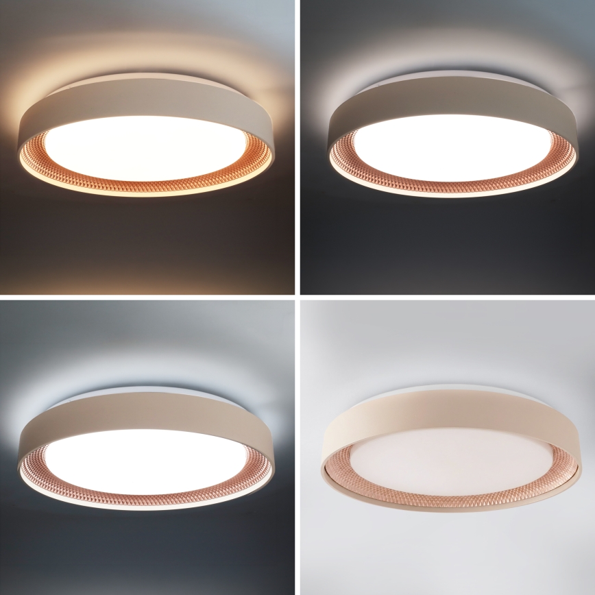 BRILAGI - LED стельний світильник WALDO з регулюванням яскравості LED/48W/230V 3000-6500K діам. 40 cm бежевий/золотий + пульт дистанційного керування
