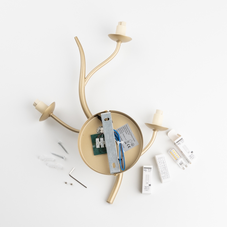 Brilagi - Світлодіодний настінний світильник MISTEL 3xG9/3W/230V золотий