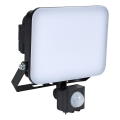 BRILAGI - Світлодіодний прожектор із сенсором ELARA PRO LED/30W/230V IP65