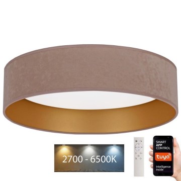 Brilagi - Світлодіодний регульований стельовий світильник VELVET SMART LED/36W/230V діам. 55 см 2700-6500K Wi-Fi Tuya бежевий/золотий + пульт дистанційного керування