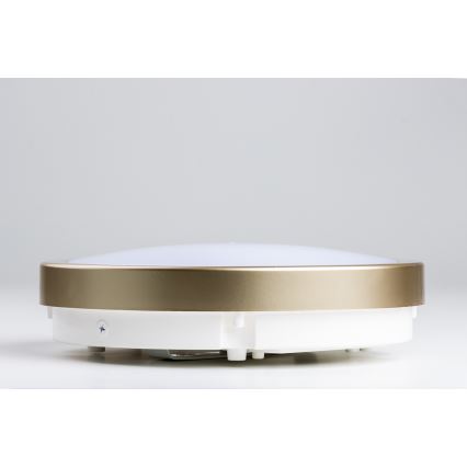 Brilagi - Світлодіодний стельовий світильник для ванної кімнати PERA LED/18W/230V діаметр 22 см IP65 золотий