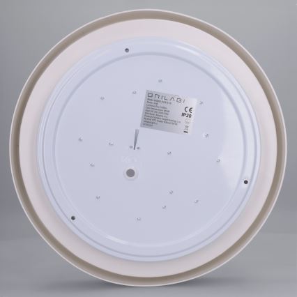 Brilagi - Світлодіодний стельовий світильник MATTEO LED/24W/230V діаметр 31 см бірюзовий
