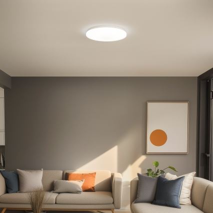 Brilagi - Світлодіодний стельовий світильник OPAL LED/24W/230V
