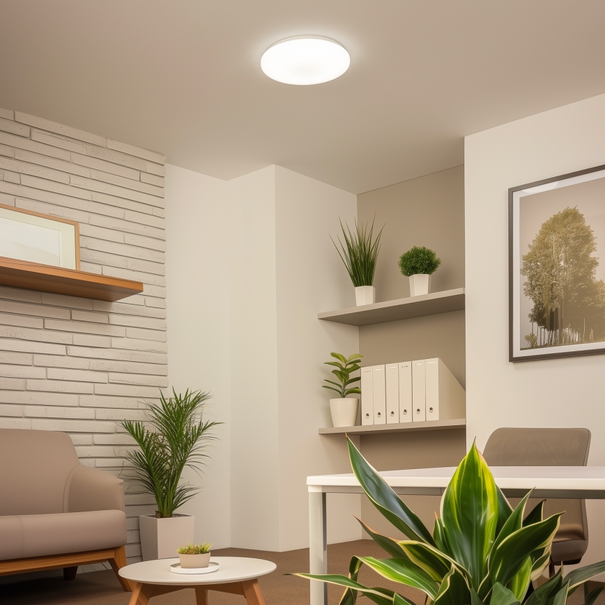 Brilagi - Світлодіодний стельовий світильник OPAL LED/24W/230V