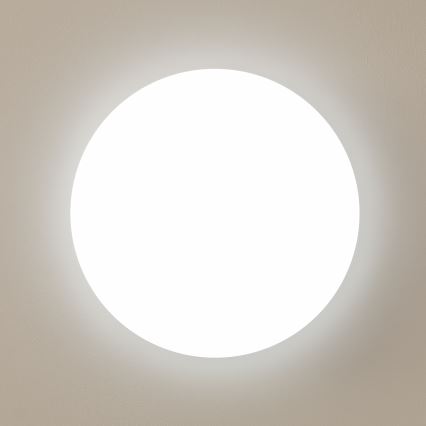 Brilagi - Світлодіодний стельовий світильник OPAL LED/24W/230V