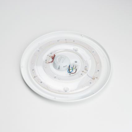Brilagi - Світлодіодний стельовий світильник OPAL LED/24W/230V