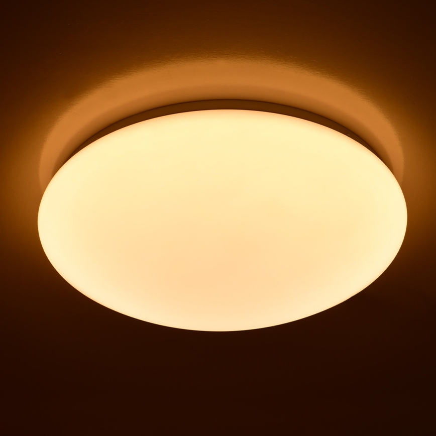 Brilagi - Світлодіодний стельовий світильник OPAL LED/24W/230V