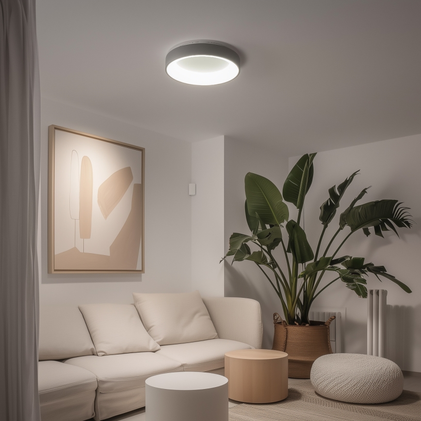 Brilagi - Регульований світлодіодний стельовий світильник FALCON LED/40W/230V 3000-6500K діаметр 45 см сірий + пульт дистанційного керування