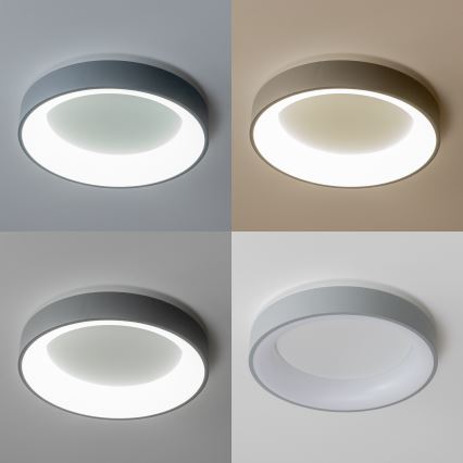 Brilagi - Регульований світлодіодний стельовий світильник FALCON LED/40W/230V 3000-6500K діаметр 45 см сірий + пульт дистанційного керування