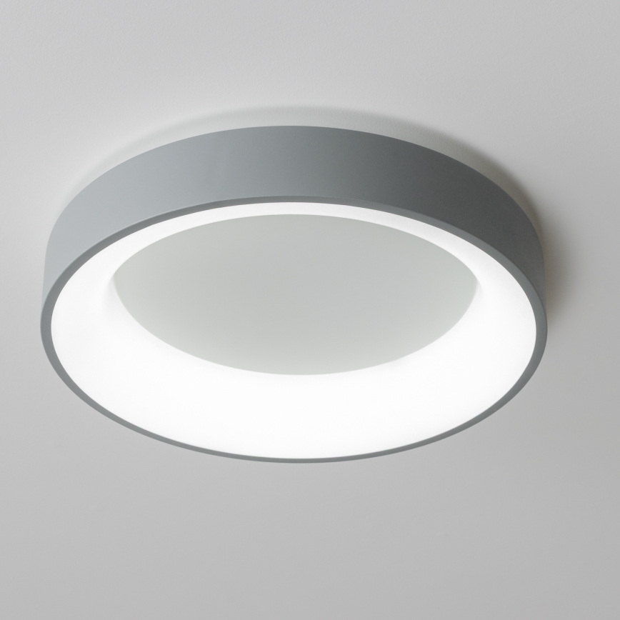 Brilagi - Регульований світлодіодний стельовий світильник FALCON LED/40W/230V 3000-6500K діаметр 45 см сірий + пульт дистанційного керування