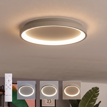 BRILAGI - Світлодіодний стельовий світильник з регулюванням яскравості FALCON SLIM LED/42W/230V 3000-6500K діам. 50 см бежевий + пульт дистанційного керування