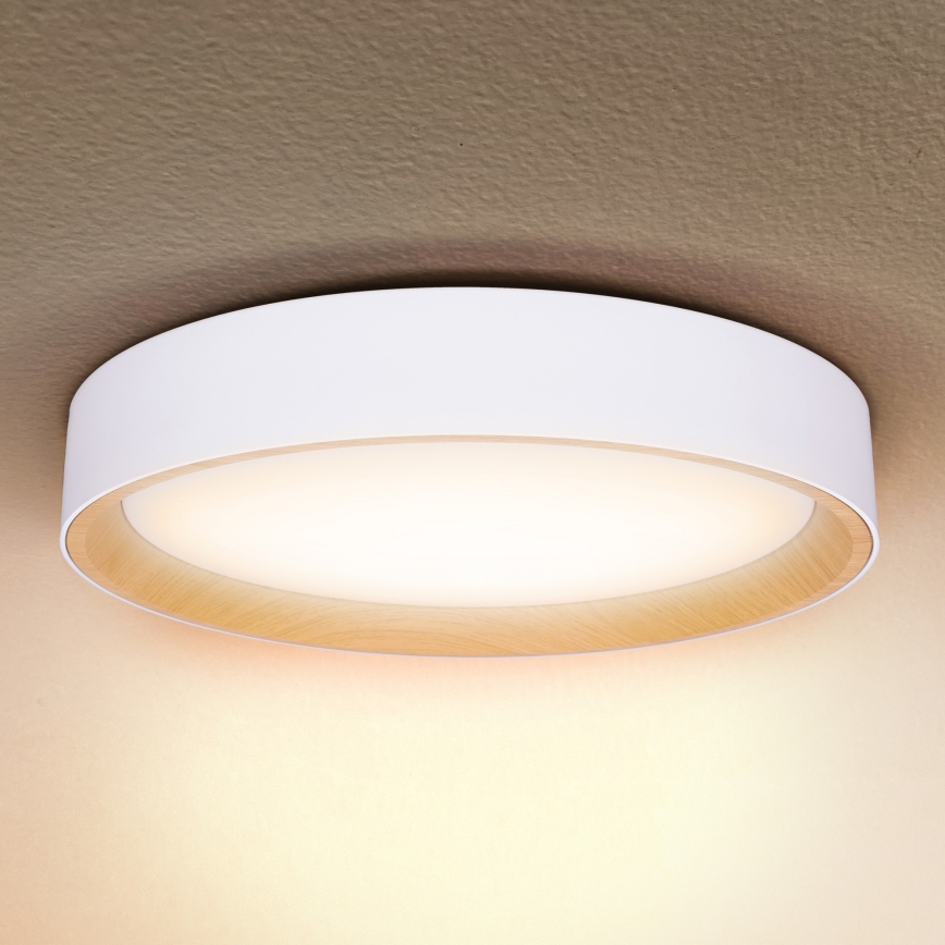 Brilagi - Світлодіодний стельовий світильник з регулюванням яскравості LARIOS LED/48W/230V 3000-6500K ø 39 см білий + пульт дистанційного керування