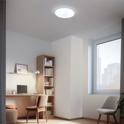 Brilagi - Світлодіодний стельовий світильник з регулюванням яскравості OPAL LED/24W/230V  3000/4000/6500K + пульт дистанційного керування