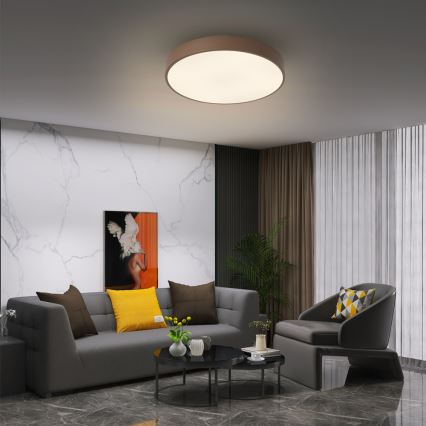 Brilagi - LED затемнюваний стельовий світильник POOL LED/48W/230V 3000-6000K діам. 40 см, коричневий + пульт дистанційного керування