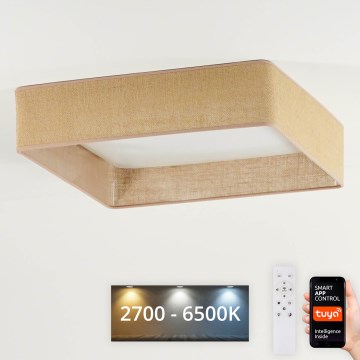 Brilagi - Світлодіодний стельовий світильник з регулюванням яскравості VELVET SQUARE SMART LED/36W/230V 2700-6500K Wi-Fi Tuya + пульт дистанційного керування коричневий