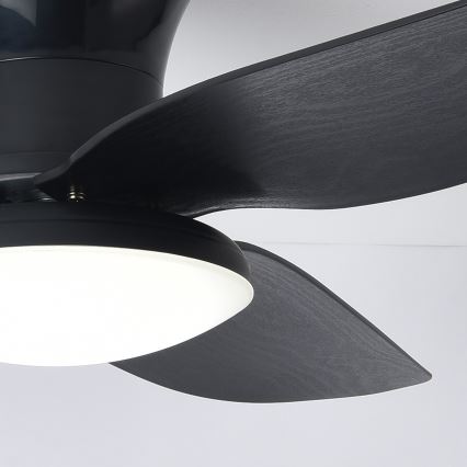 Brilagi - Світлодіодний стельовий вентилятор з регулюванням яскравості LED/30W/230V 3000-6500K чорний + пульт дистанційного керування