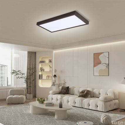 Brilagi - Стельовий LED світильник для ванної з регулюванням яскравості FRAME SMART LED/30W/230V 30x60 см 3000-6000K  IP44 чорний  + пульт дистанційного керування