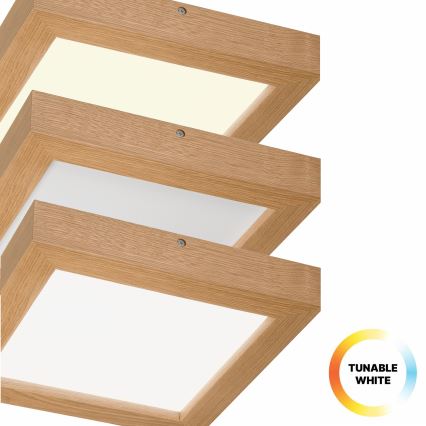 Brilagi - Стельовий LED світильник для ванної з регулюванням яскравості WOODY FRAME LED/24W/230V дуб 30x30 см 3000-6000K IP44 + пульт дистанційного керування