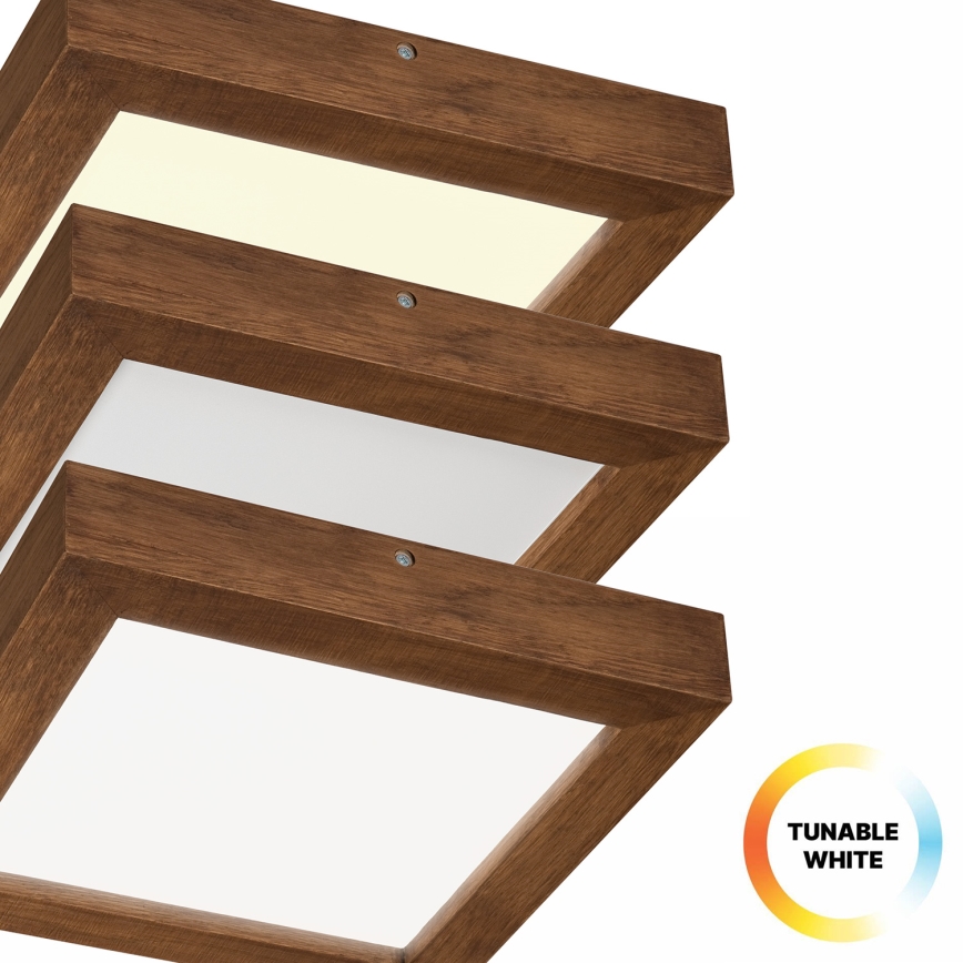 Brilagi - Стельовий LED світильник для ванної з регулюванням яскравості WOODY FRAME LED/24W/230V дуб вишня 30x30 см 3000-6000K IP44 + пульт дистанційного керування