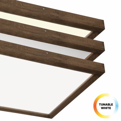 Brilagi - Стельовий LED світильник для ванної з регулюванням яскравості WOODY FRAME LED/50W/230V дуб 60x60 см 3000-6000K IP44 + пульт дистанційного керування