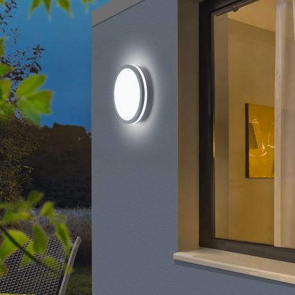 Brilagi - Світлодіодний вуличний світильник BENE LED/24W/230V діаметр 26 см антрацит IP54