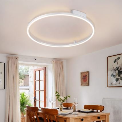 Brilagi - LED затемнюваний стельовий світильник PORTOFINO LED/60W/230V 3000-6000K діам. 80 см, сріблястий + пульт дистанційного керування