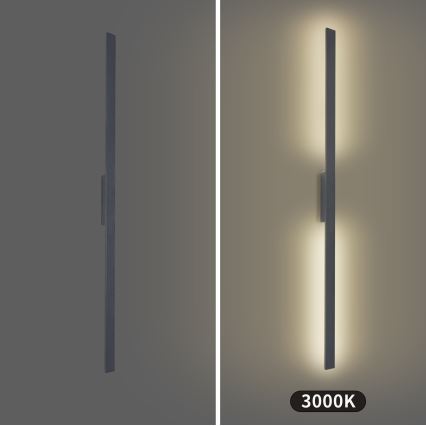 Brilagi - LED зовнішній настінний світильник LUNA LED/30W/230V 3000K IP65 150 см антрацит CRI 90
