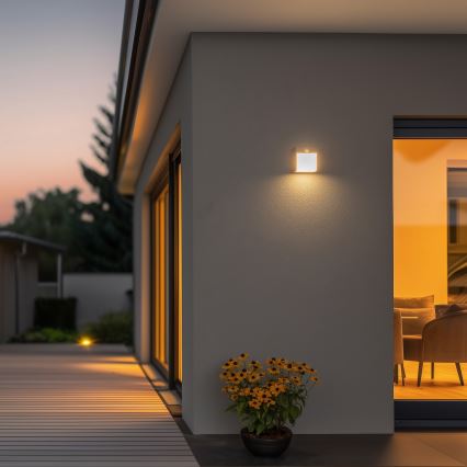 Brilagi - Светильник уличный настенный с датчиком TERNI LED/12W/230V серый IP44