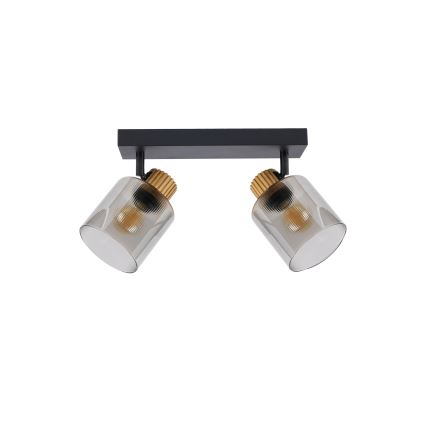 Brilagi - Точечный светильник HYGGE 2xE14/15W/230V черный/дымчатый