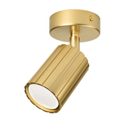Brilagi - Точечный светильник CRISPINA 1xGU10/10W/230V золотой