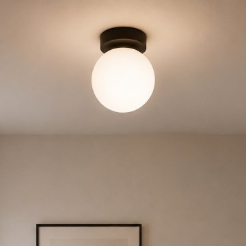 BRILAGI - Точечный светильник MILO 1xE27/60W/230V Ø 15 см, черный