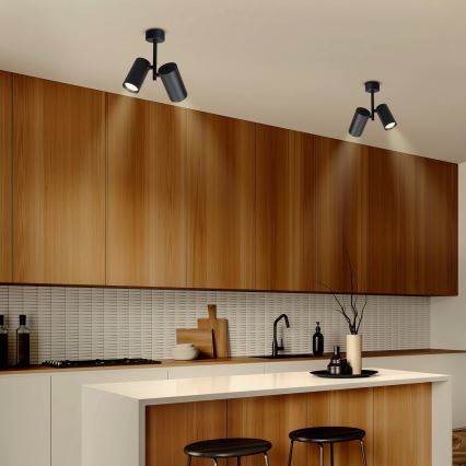 Brilagi - Точечный светильник SELE VERTICAL 2xGU10/30W/230V черный