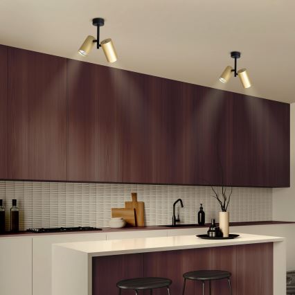 Brilagi - Точечный светильник SELE VERTICAL 2xGU10/30W/230V черный/золотистый