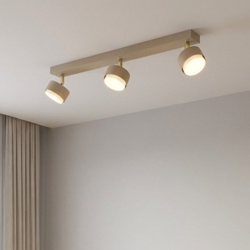 Brilagi - Точковий світильник 3xGX53/12W/230V бежевий