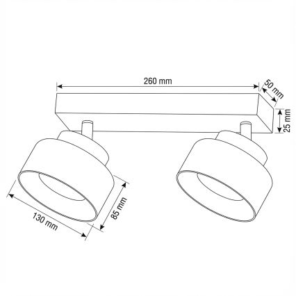 Brilagi - Точковий світильник AURA LUX 2xGX53/30W/230V чорний/золотий
