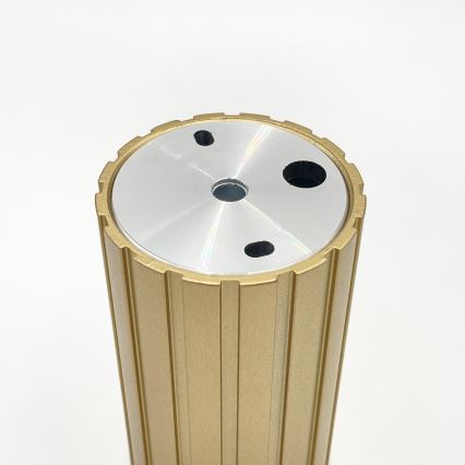 Brilagi - Точковий світильник CRISPINA 1xGU10/10W/230V 10 cm золотий