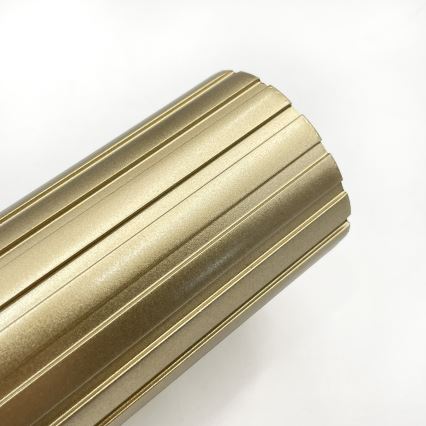 Brilagi - Точковий світильник CRISPINA 2xGU10/10W/230V золотий