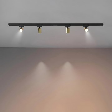 Brilagi - Точковий світильник для шинної системи HUSKY 4xGU10/10W/230V чорний/золотий