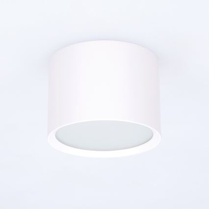 BRILAGI - Точковий світильник для ванної кімнати SMOOTH 1xGX53/15W/230V 60x82 mm білий IP54