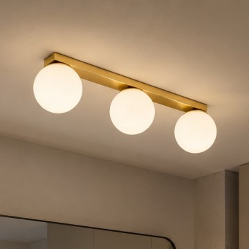 BRILAGI - Точковий світильник MILO 3xE27/60W/230V золотий