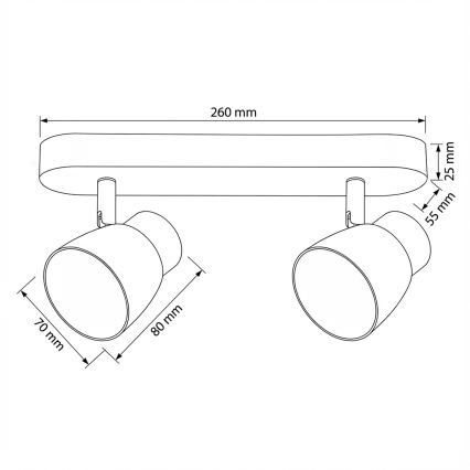 Brilagi - Точковий світильник NUGGET 2xGU10/30W/230V чорний/золотий