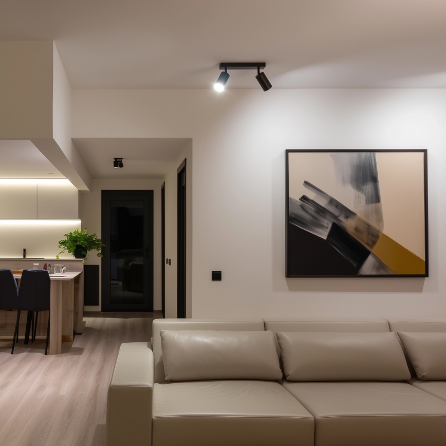 Brilagi - Точковий світильник SELE 2xGU10/30W/230V чорний