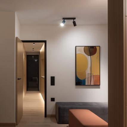 Brilagi - Точковий світильник SELE 2xGU10/30W/230V чорний/золотий