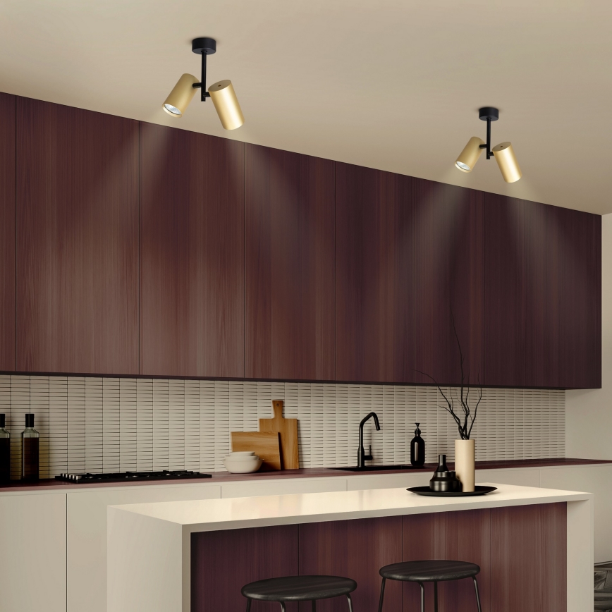 Brilagi - Точковий світильник SELE VERTICAL 2xGU10/30W/230V чорний/золотий