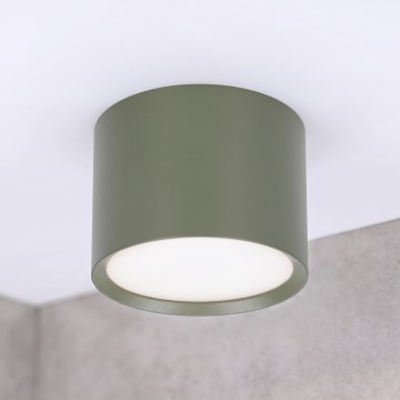 BRILAGI - Точковий світильник SMOOTH 1xGX53/15W/230V 60x82 mm темно-зелений