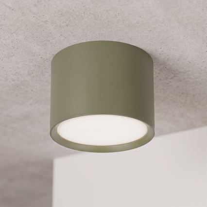 BRILAGI - Точковий світильник SMOOTH 1xGX53/15W/230V 60x82 mm темно-зелений