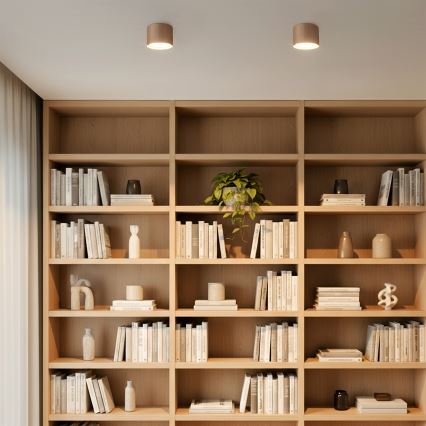 Брілагі - точковий світильник СТРИПИ 1xGX53/15W/230V бежевий